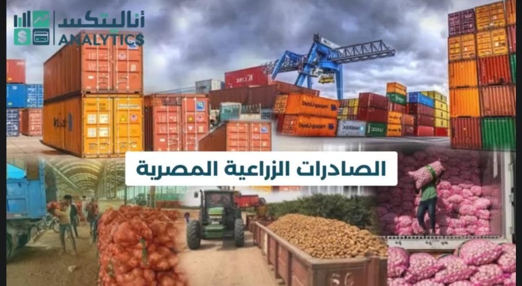 تصدير 7.5 مليون طن من المنتجات الزراعية في 2023 بإجمالي 9 مليارات دولار