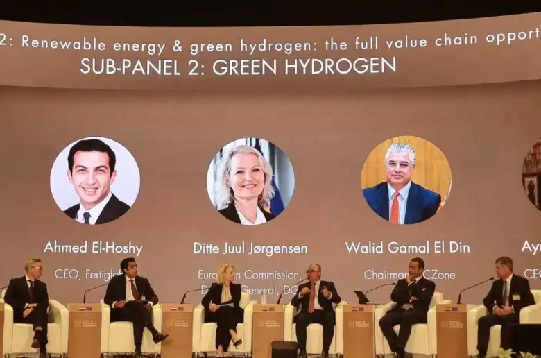 جمال الدين: المنطقة الاقتصادية تعمل على تعزيز الشراكات لتحقيق طفرة في مشروعات الطاقة الخضراء30 يونيو 2024 - 12:16 مساءً وليد جمال الدين رئيس المنطقة الاقتصادية لقناة السويس بمؤتمر الاستثمار المصري الأوروبي