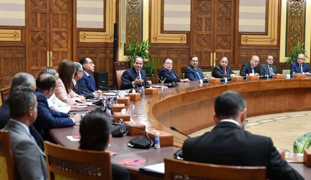 الرئيس السيسي يوجه بتسريع تغذية الكهرباء لمشروع الدلتا الجديدة
