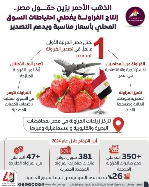إنتاج الفراولة يغطي احتياطات السوق المحلي بأسعار مناسبة يدعم التصدير