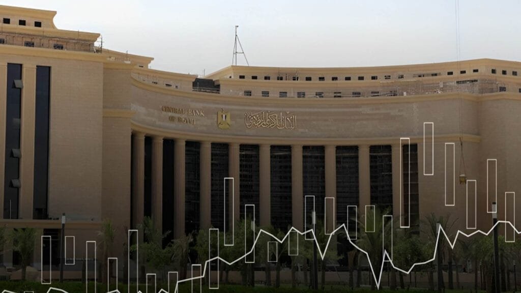 البنك المركزي المصري يسند إدارة صندوق "إنكلود" لشركة "DPI" العالمية