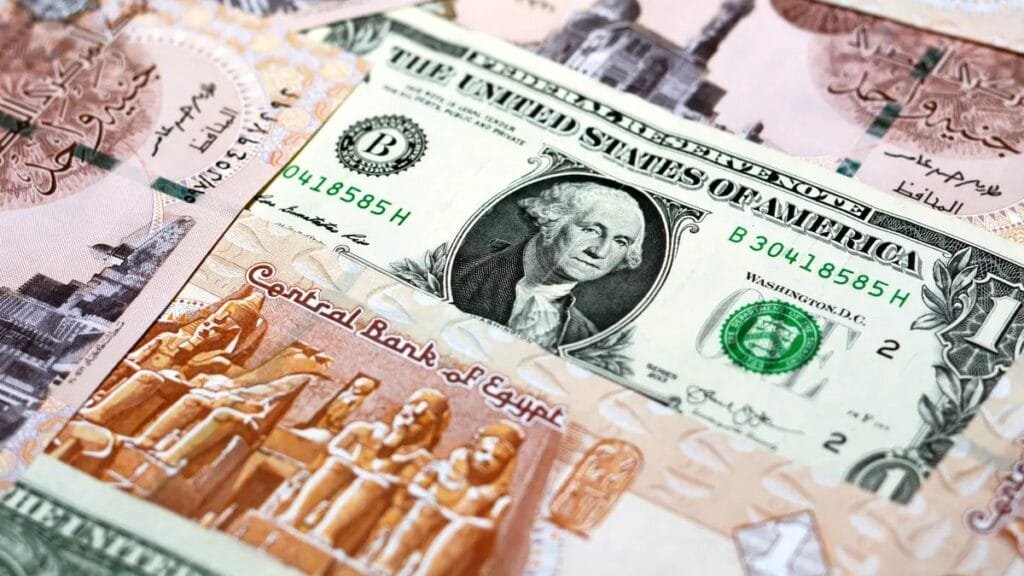 الدولار يستقر أمام الجنيه عند 49.24 جنيه بأعلى البنوك