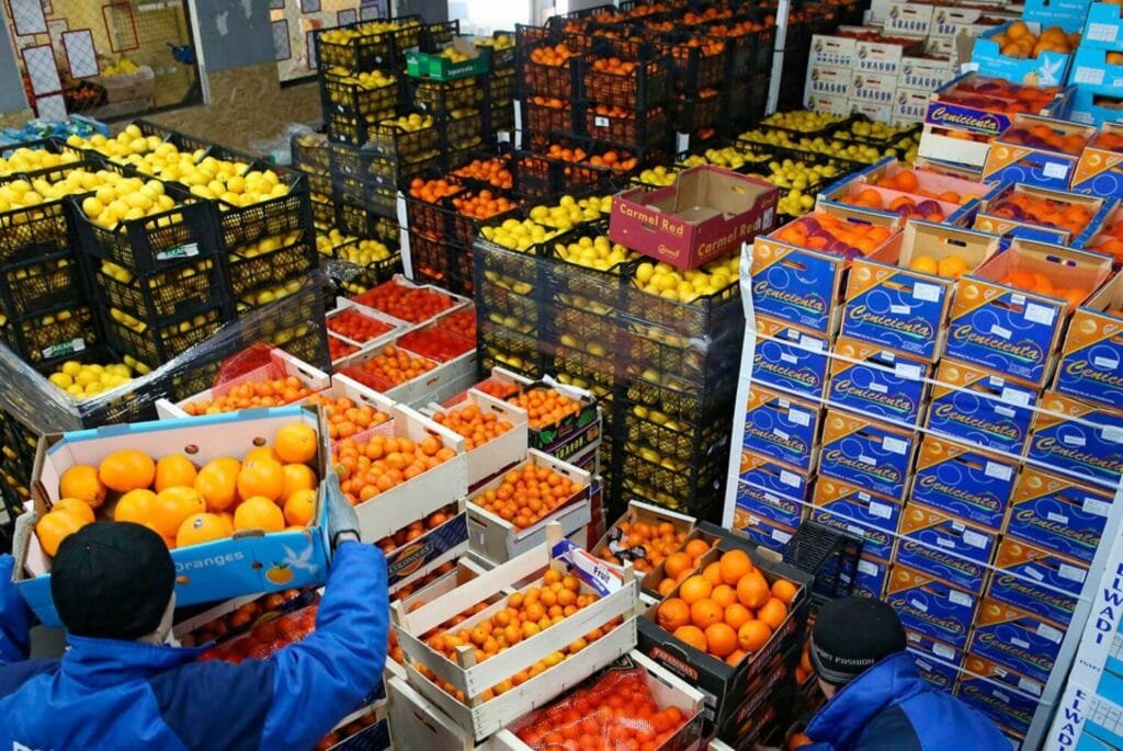 الصادرات الغذائية المصرية تسجل 3.36 مليار دولار في النصف الأول من 2025 بنمو 6%