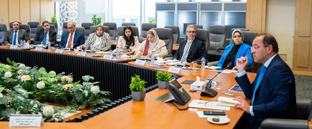 وزير المالية: تعزيز الشراكة مع القطاع الخاص المصري وتوسيع النفاذ للأسواق الأفريقية