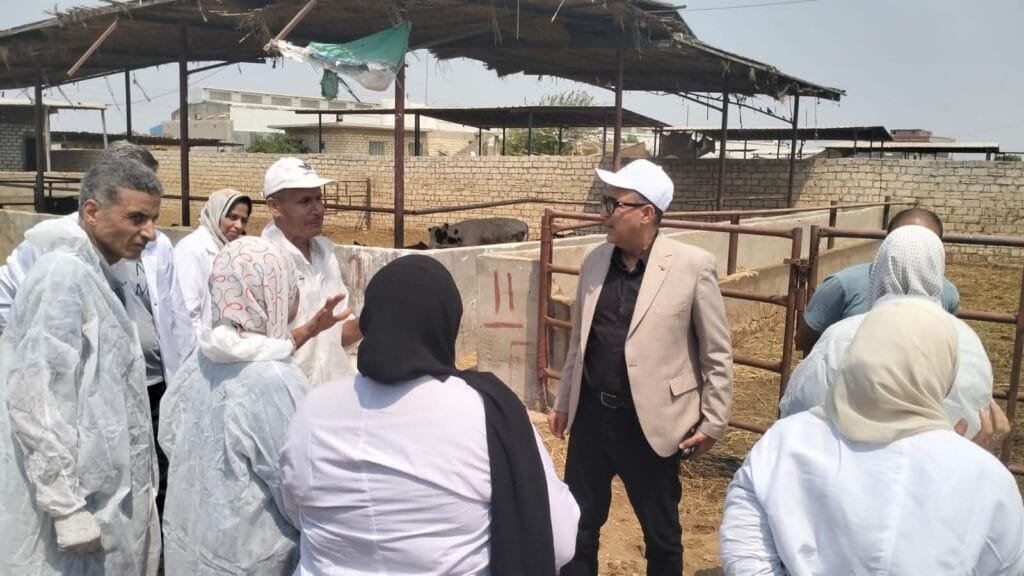 وزارة الزراعة تعلن عن خطة تحصين شاملة لحماية الثروة الحيوانية فيروس الحمى القلاعية