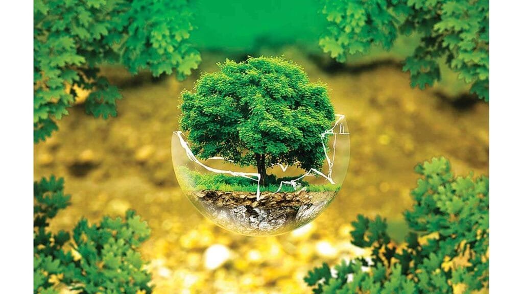 التنمية المستدامة