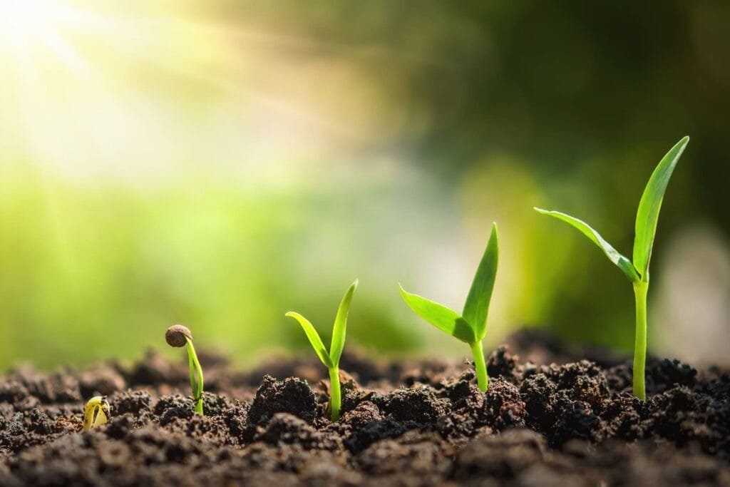 وزارة الزراعة والتضامن الاجتماعي تطلقان مبادرة لدعم صغار المزارعين في 16 محافظة