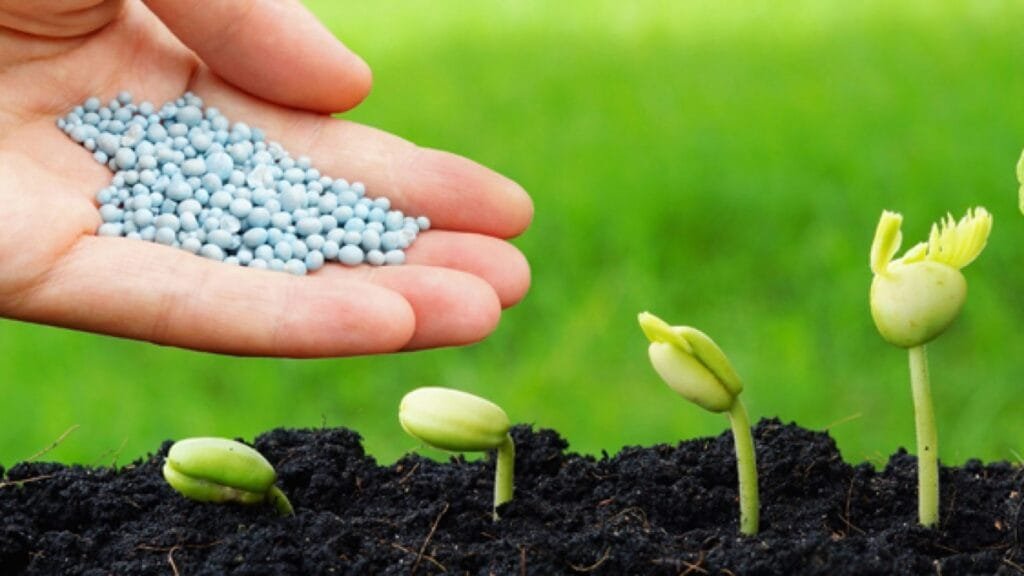 صادرات الصناعات الكيماوية المصرية تتوقع نموًا يصل إلى 14% بنهاية 202526 أكتوبر 2025 - 8:10 مساءً صادرات الصناعات الكيماوية المصرية تتوقع نموًا يصل إلى 14% بنهاية 2025