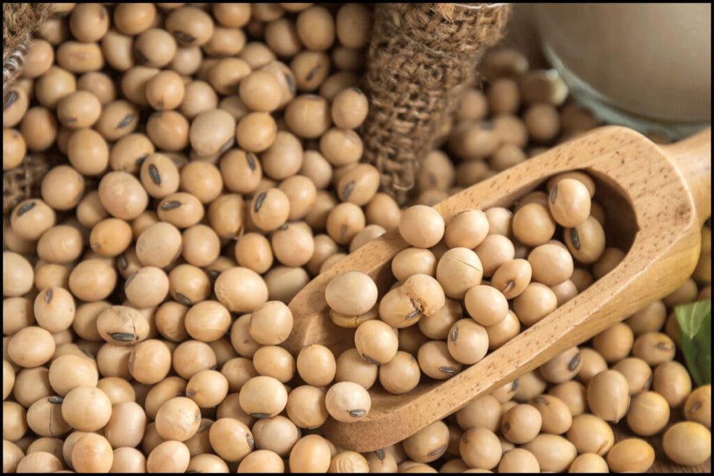 الصين توقف استيراد فول الصويا الأمريكي لأول مرة منذ 7 سنوات