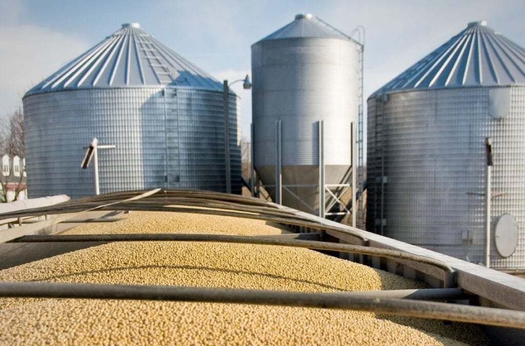 مصر تؤسس شركة "فيرم مصر" لتوطين صناعة صوامع الحبوب بالشراكة مع بولندا