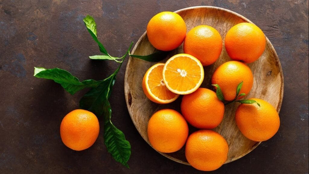 موسم تصدير البرتقال المصري ينطلق منتصف ديسمبر بعد تأجيل أسبوعين