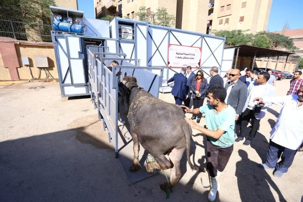 لأول مرة في تاريخ المجازر المصرية.. مجزر متنقل بسعة 100 رأس يوميًا