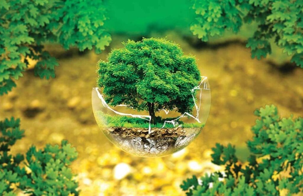 مصر والبحرين تفعّلان مذكرة تفاهم للتعاون في مجالات التنمية المستدامة20 نوفمبر 2025 - 1:06 مساءً مصر والبحرين تفعّلان مذكرة تفاهم للتعاون في مجالات التنمية المستدامة