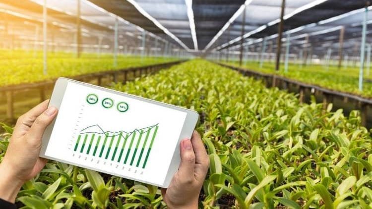 الزراعة: مركز البحوث الزراعية يحصد المركز الثاني إقليميًا في تصنيف «سيماجو» 202524 ديسمبر 2025 - 10:35 صباحًا الزراعة: مركز البحوث الزراعية يحصد المركز الثاني إقليميًا في تصنيف «سيماجو» 2025