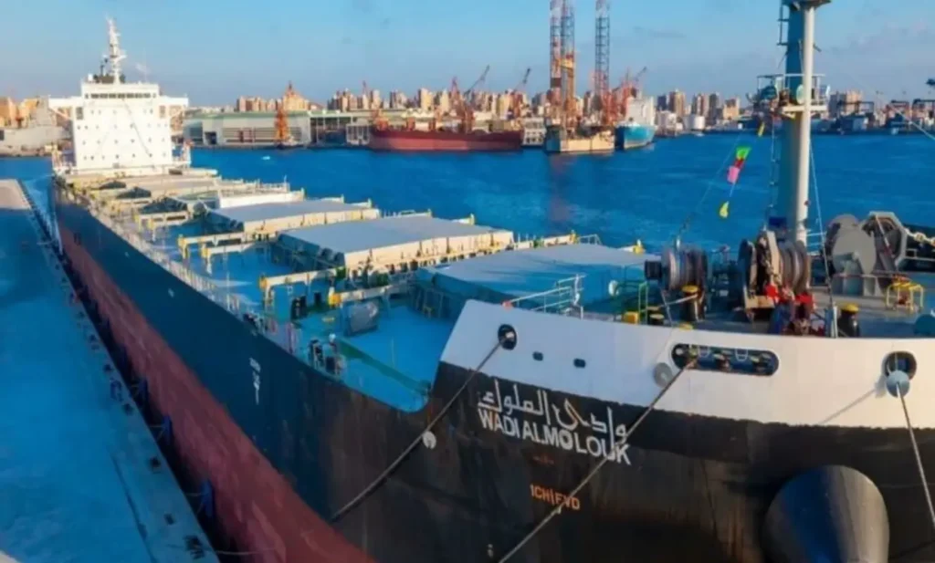 مصر تبدأ بناء سفينتين عملاقتين ضمن تحديث الأسطول التجاري