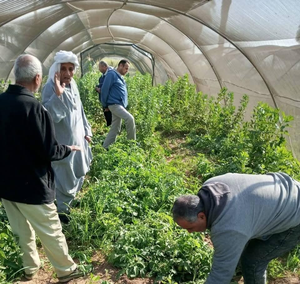 وزير الزراعة: جولات ميدانية لمتابعة النمل الأبيض وضمان سلامة المحاصيل الشتوية27 ديسمبر 2025 - 1:42 مساءً وزارة الزراعة: جولات ميدانية لمتابعة النمل الأبيض وضمان سلامة المحاصيل الشتوية