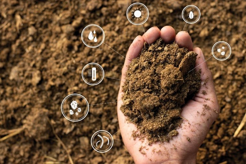 ضبط 7.4 طن أسمدة مدعمة ضمن جهود الزراعة لحماية حقوق الفلاحين18 ديسمبر 2025 - 1:09 مساءً ضبط 7.4 طن أسمدة مدعمة ضمن جهود الزراعة لحماية حقوق الفلاحين