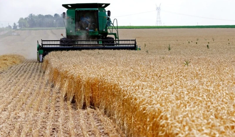 الزراعة: تجاوز المستهدف من زراعة القمح وزراعة 3.76 مليون فدان خلال الموسم الحالي29 يناير 2026 - 10:57 صباحًا الزراعة: تجاوز المستهدف من زراعة القمح وزراعة 3.76 مليون فدان خلال الموسم الحالي