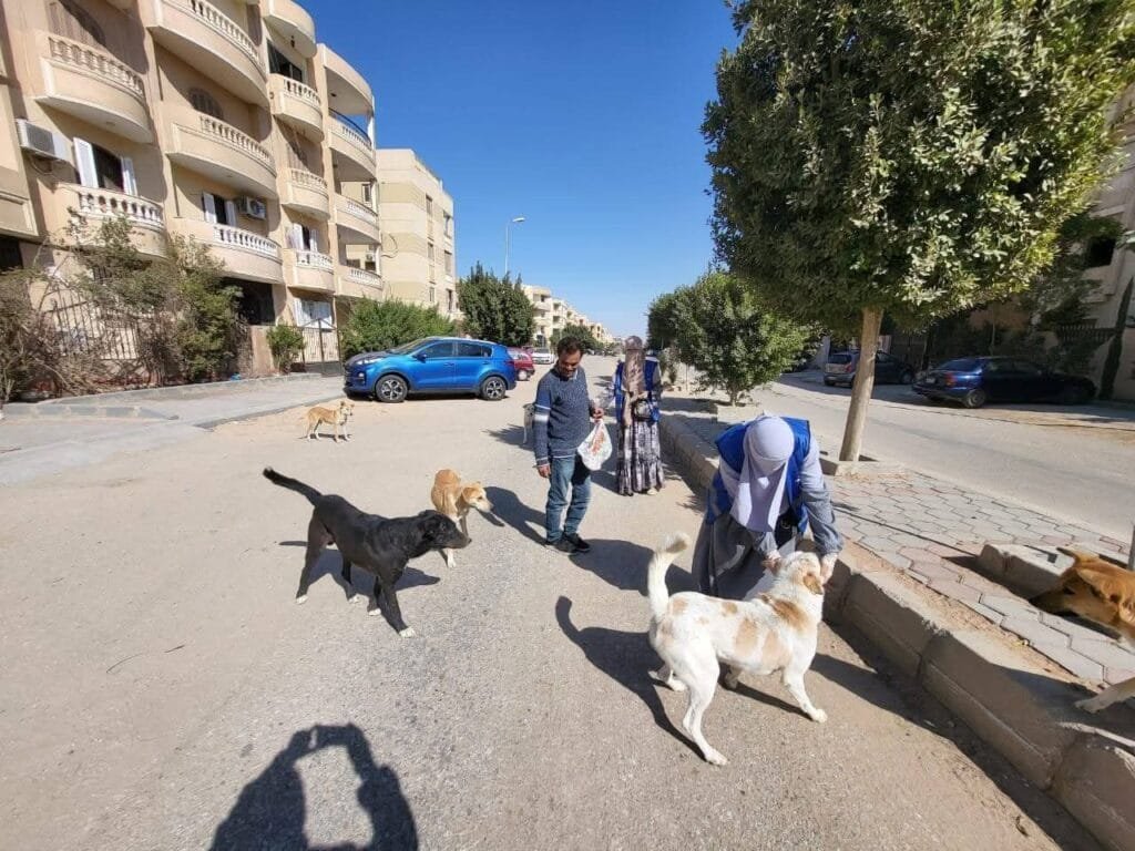 الزراعة تحصّن 8 آلاف كلب حر وتعقم أكثر من ألف ضمن حملة مكافحة السعار