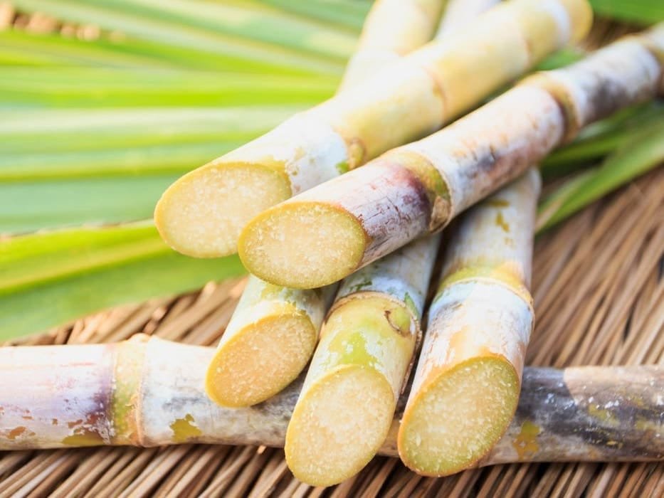 توريد 2.49 مليون طن قصب وإنتاج 254 ألف طن سكر خلال موسم 2025/202625 فبراير 2026 - 8:16 مساءً توريد 2.49 مليون طن قصب وإنتاج 254 ألف طن سكر خلال موسم 2025/2026