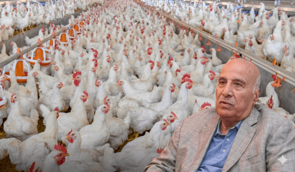 محمود العناني: مصر تصدر 300 طن دواجن إلى قطر مع فائض إنتاج يتجاوز 200 مليون دجاجة