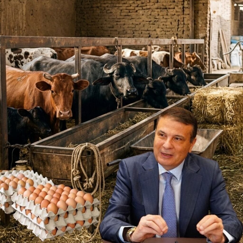 وزير الزراعة: نستهدف 10 ملايين رأس ماشية لتوفير 70% من اللحوم.. وحققنا 100% اكتفاء ذاتي في البيض