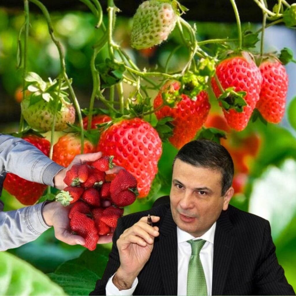 وزير الزراعة: عودة بعض الشحنات الزراعية بسبب "المبيدات".. ونعمل على زيادة إجراءات الفحص قبل التصدير