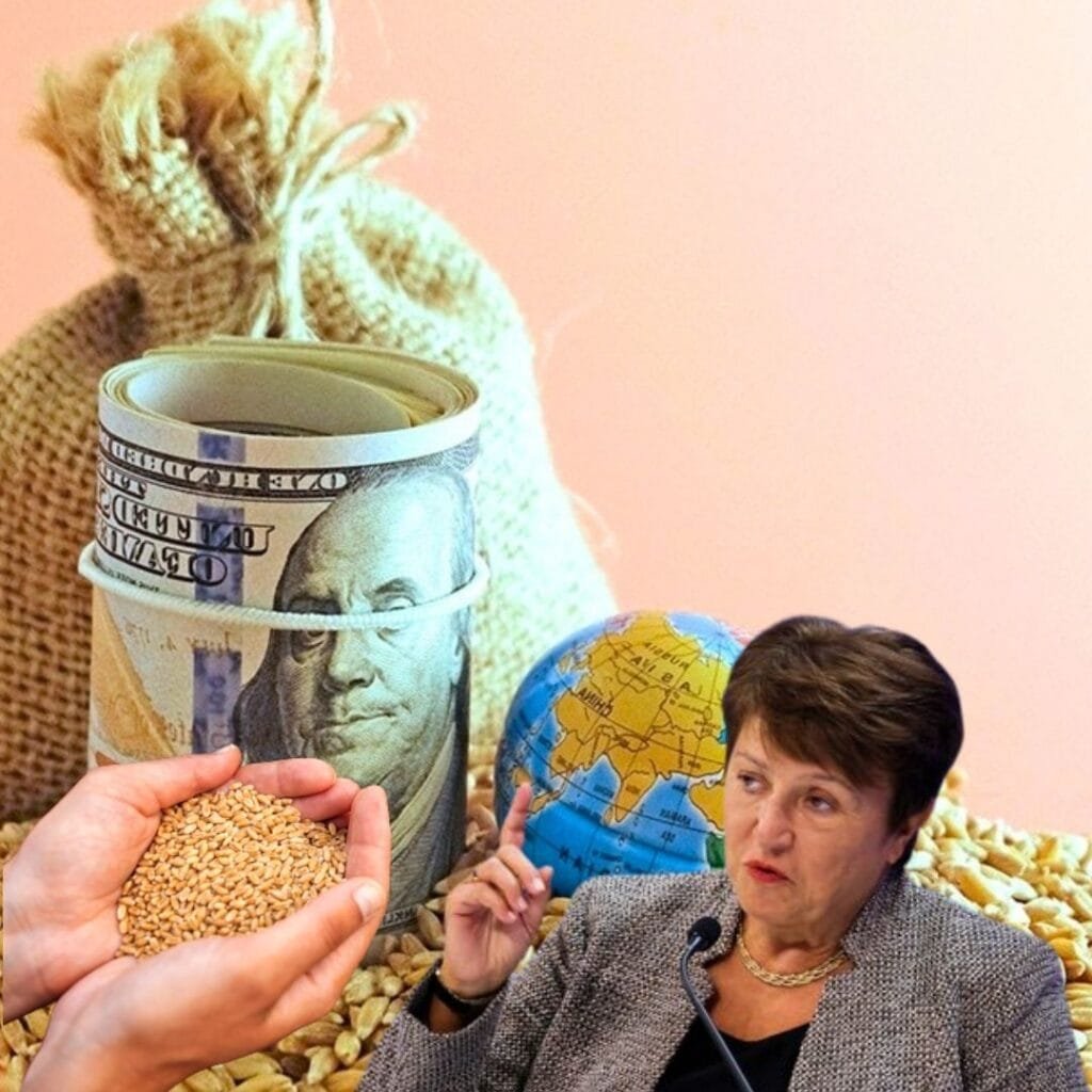 مديرة صندوق النقد: بعض الدول طلبت مساعدات تمويلية عاجلة.. ولا توجد أزمة غذاء حتى الآن إلا في حالة واحدة